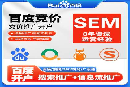 关键词竞价排名案例解析与启示